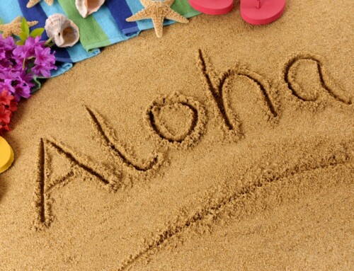 MAUI IS OPEN AND WILL WELCOME YOU WITH WARM ALOHA